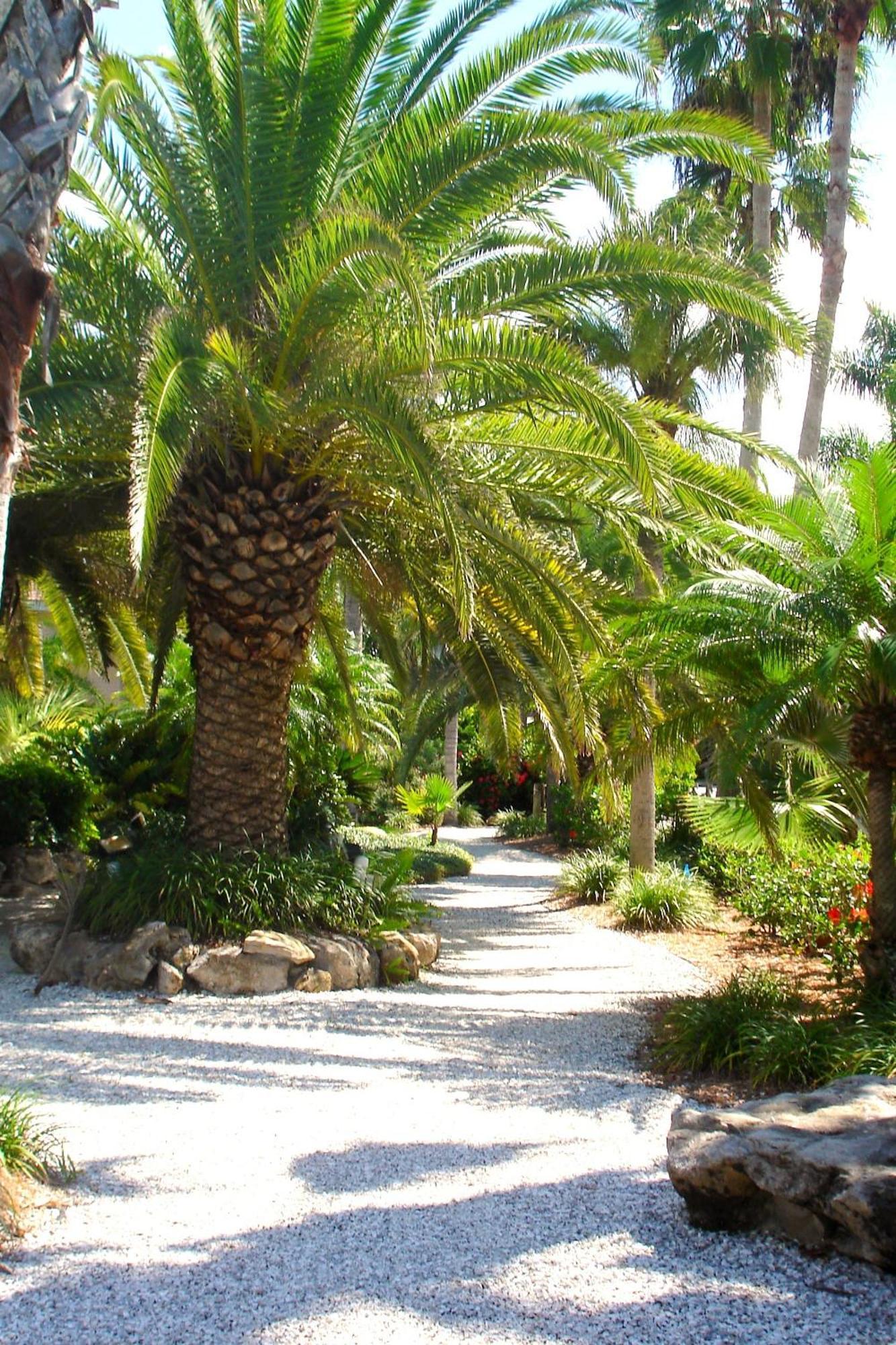 Tropical Beach Resorts - Sarasota Siesta Key Kültér fotó