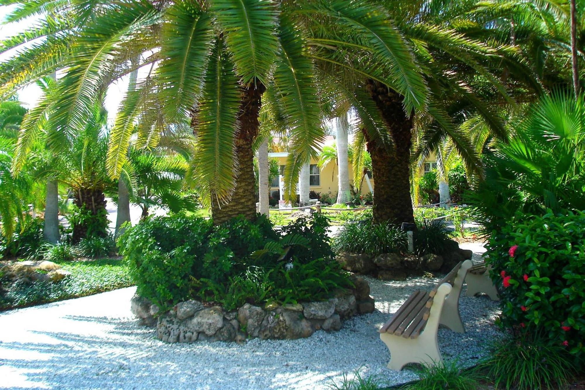 Tropical Beach Resorts - Sarasota Siesta Key Kültér fotó