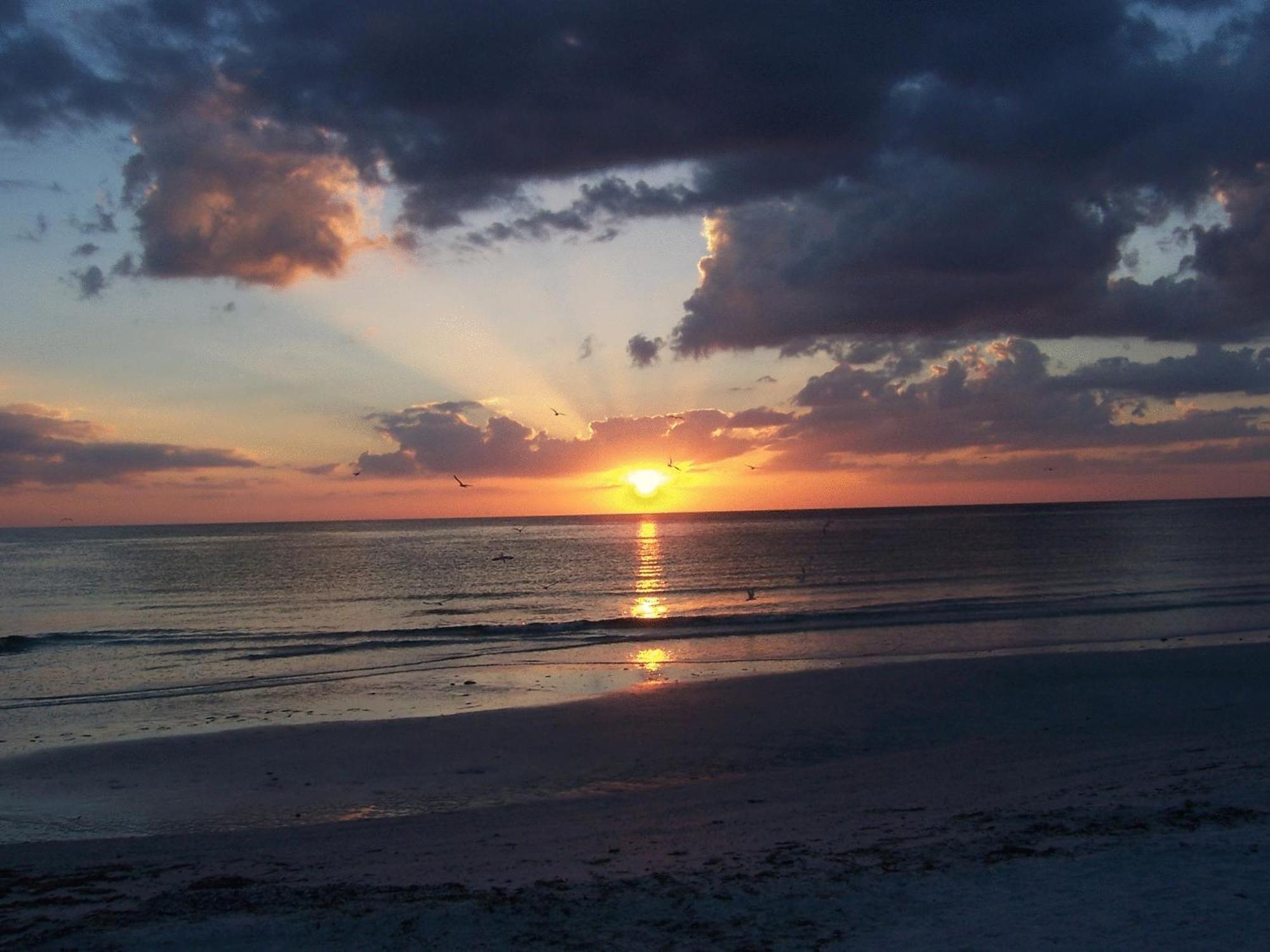 Tropical Beach Resorts - Sarasota Siesta Key Kültér fotó